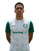 Camisa Palmeiras Fora 25/26 - Versão Torcedor Branca